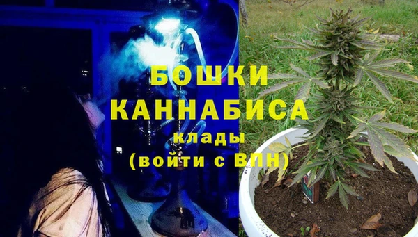 крисы Бородино