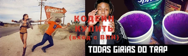 крисы Бородино