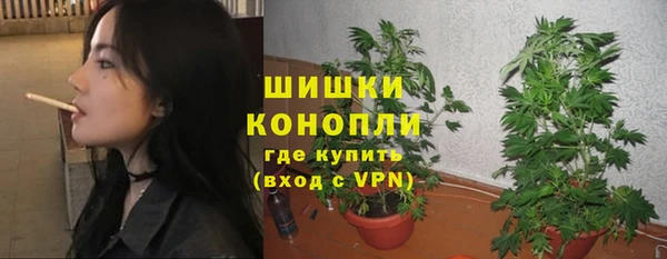 крисы Бородино