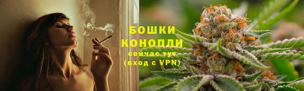 шишки Бугульма