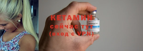 крисы Бородино