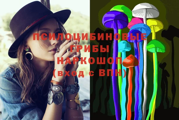 шишки Бугульма