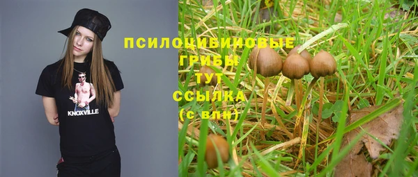 крисы Бородино