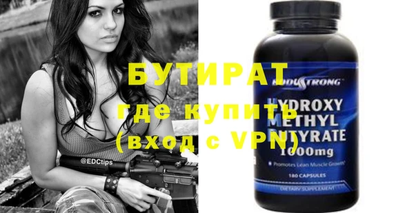 крисы Бородино