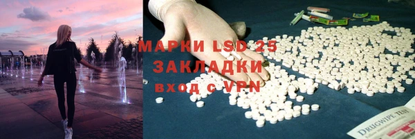 крисы Бородино
