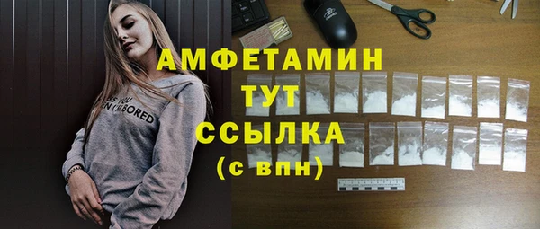крисы Бородино