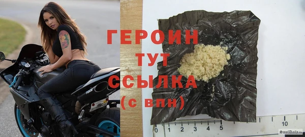 крисы Бородино