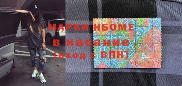 крисы Бородино