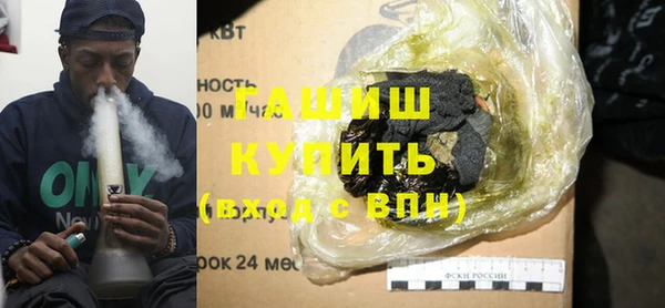 крисы Бородино