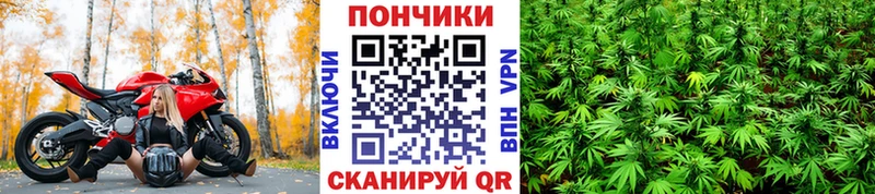 Бошки марихуана VHQ  Купить закладки  Верхоянск 